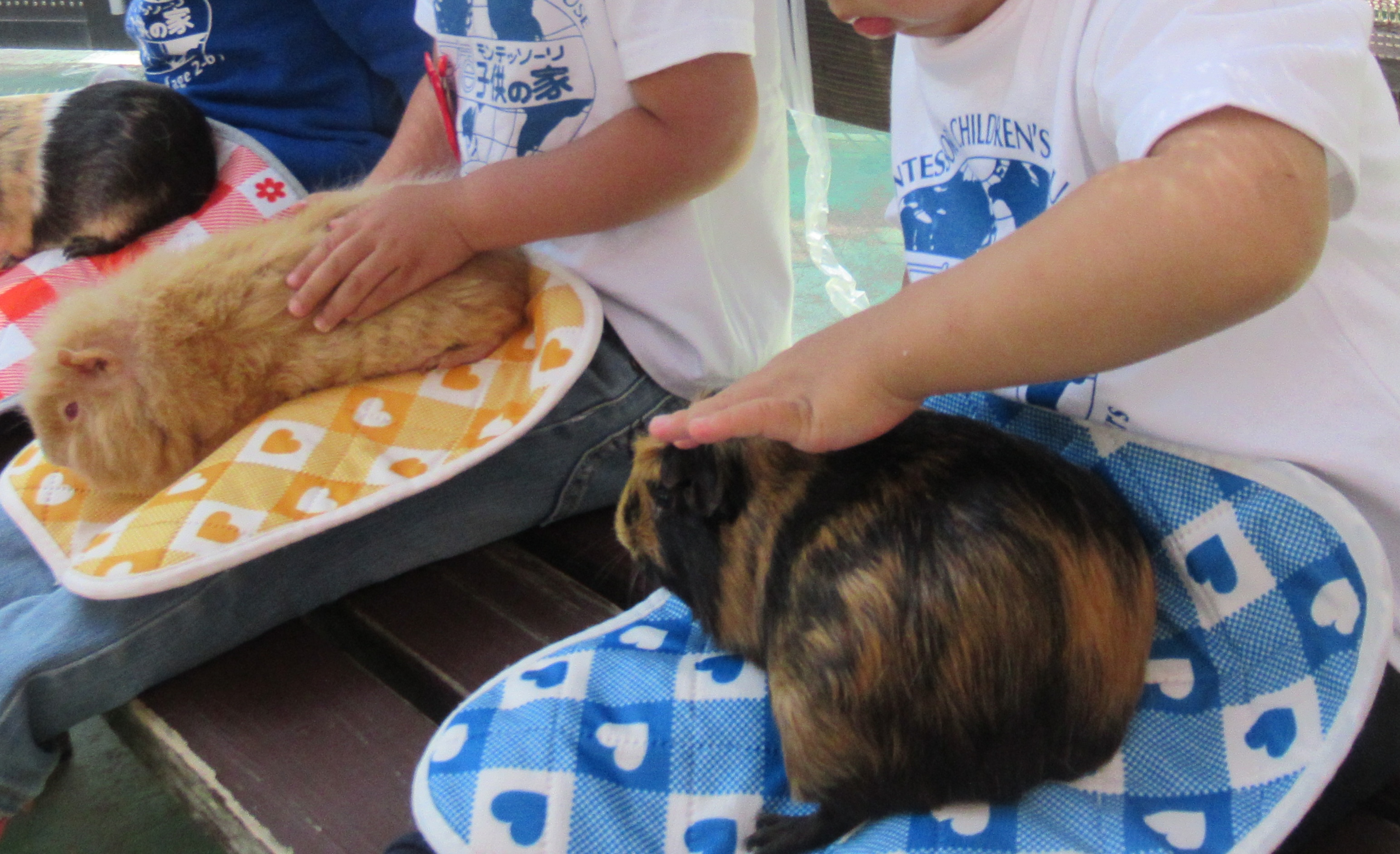 幼児とのおでかけにおすすめ!動物とふれあえる都内の穴場「碑文谷公園」