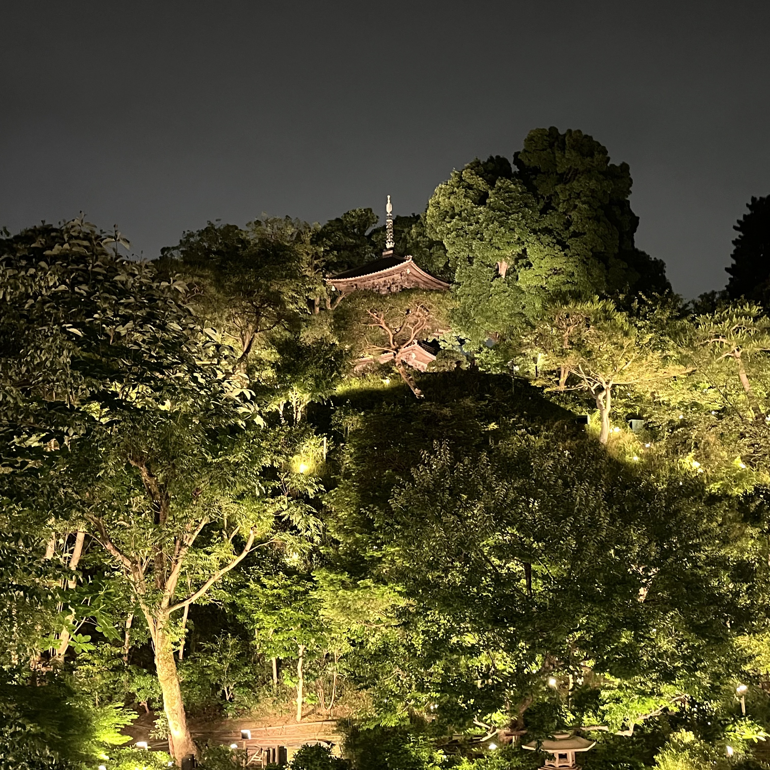 年に一度の今がチャンス！【ホテル椿山荘東京】で子どもと蛍の観賞＆豪華ビュッフェ
