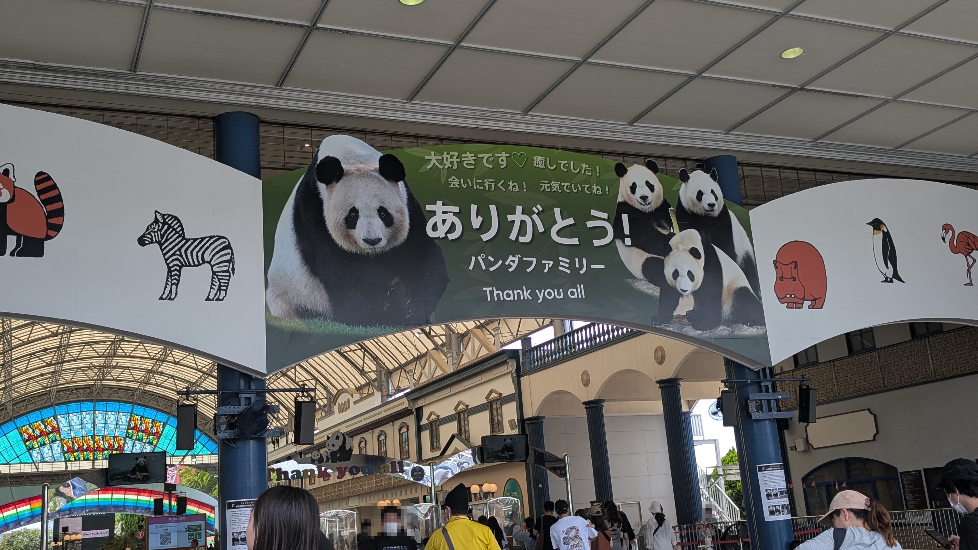【6月27日まで】関西でのパンダは最後かも…アドベンチャーワールドの混み具合や7人家族での総額は?