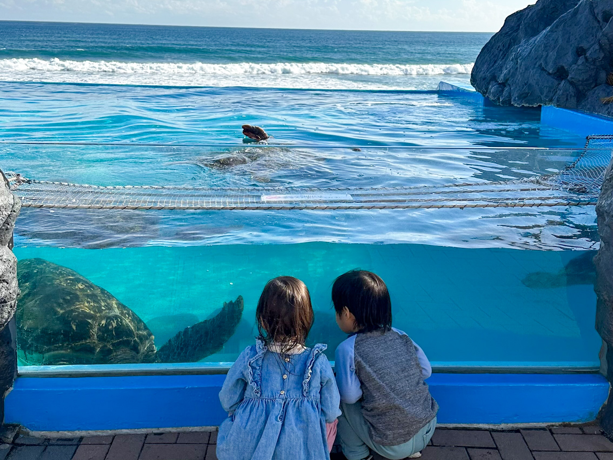 【千葉県】県民も県外もOK!6月の千葉はお得がいっぱい!無料&割引おでかけスポットまとめ