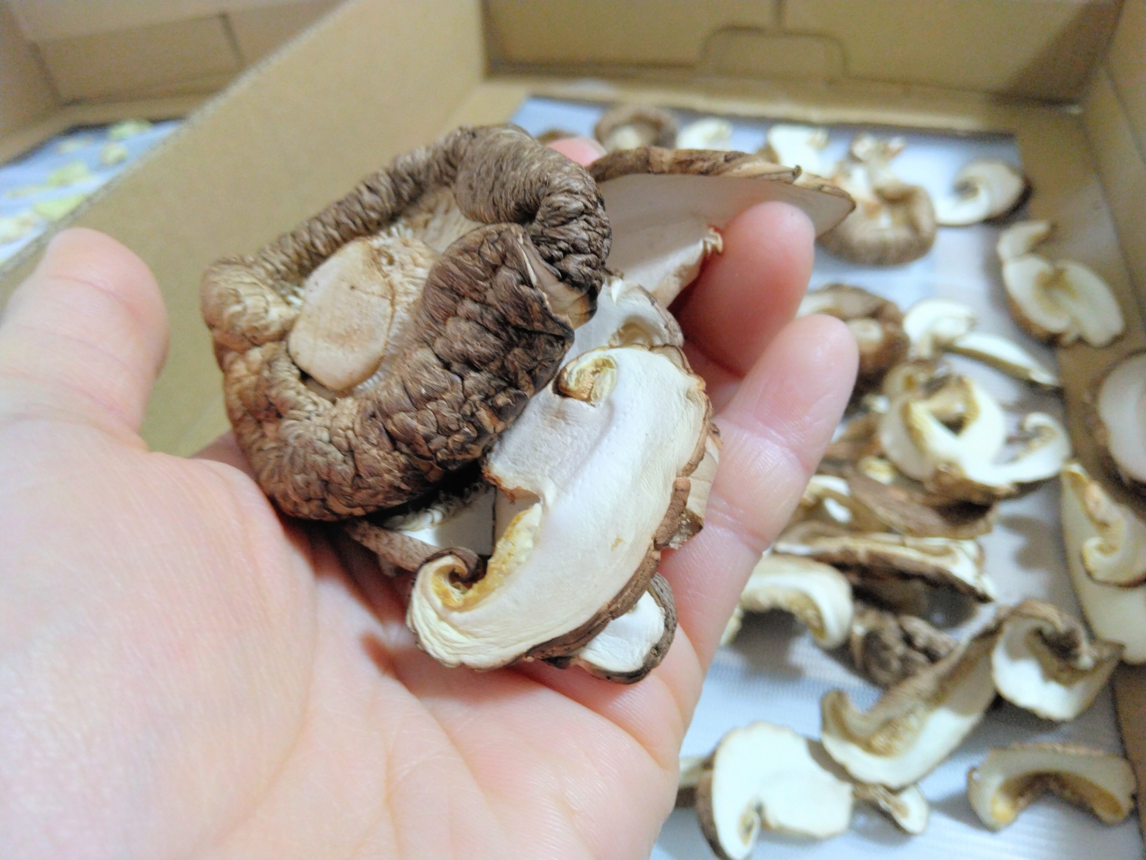 ギラギラ太陽を有効活用!親子で楽しむ干し野菜づくり3選