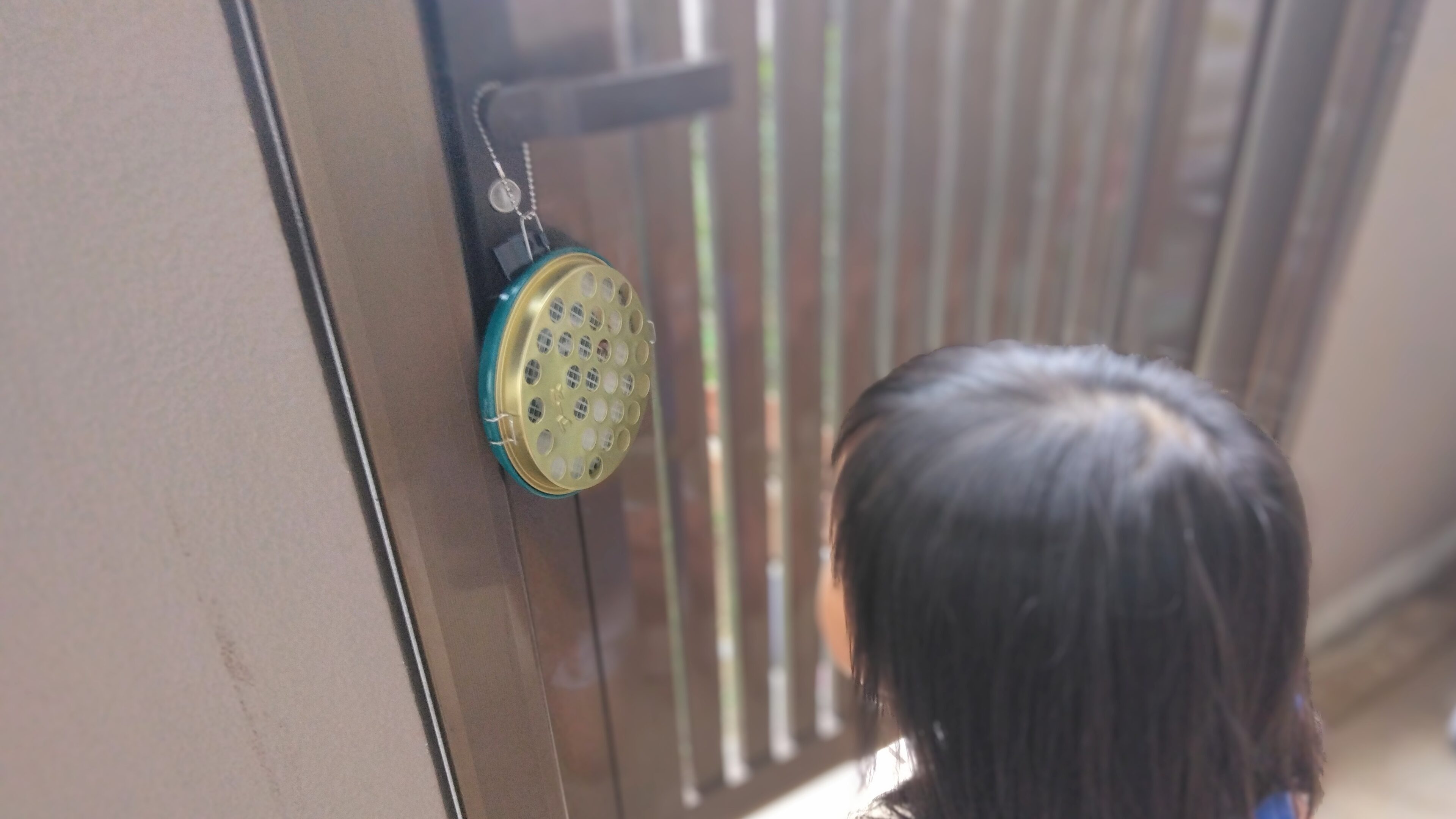 蚊取り線香は子育てにぴったり!? 雨上がりの虫刺され事情、我が家の水際対策
