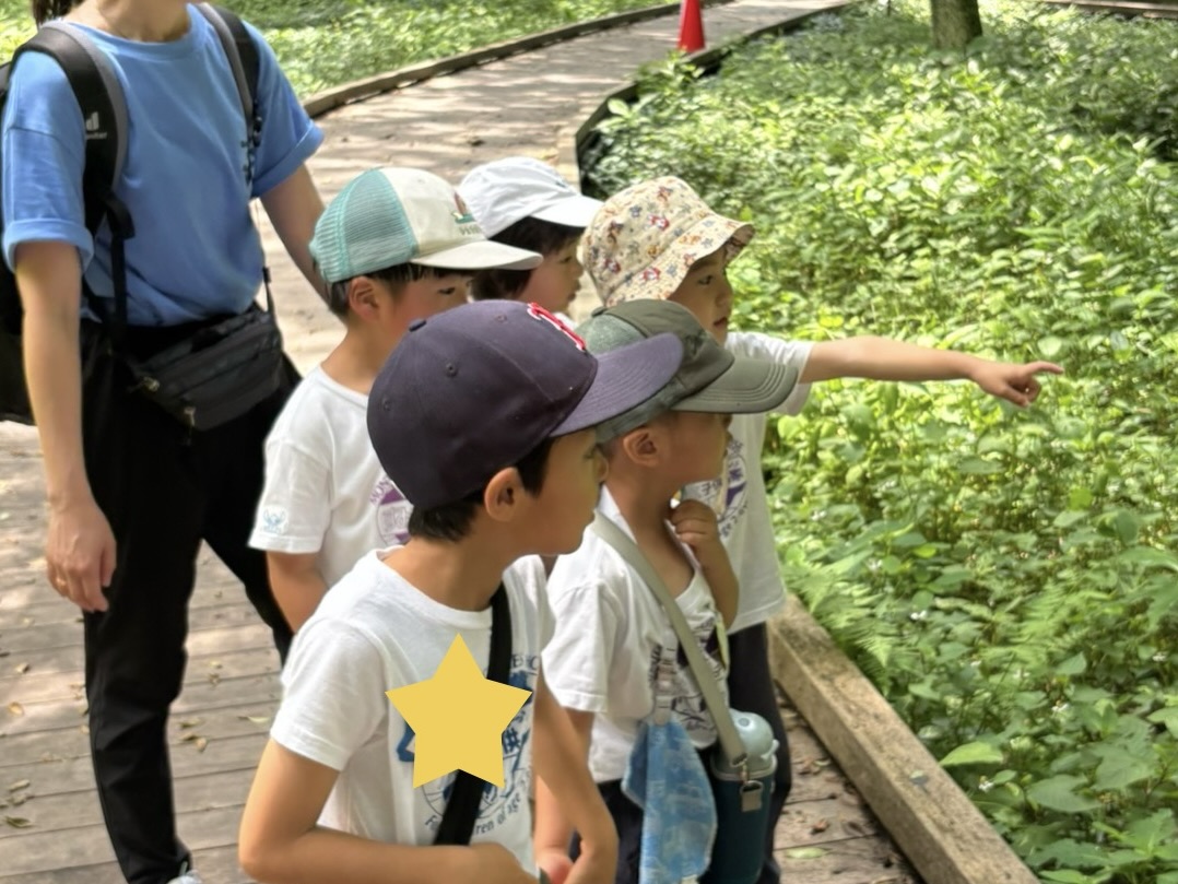 まるで大冒険!昆虫・植物観察なら川崎市「東高根森林公園」に行ってみよう