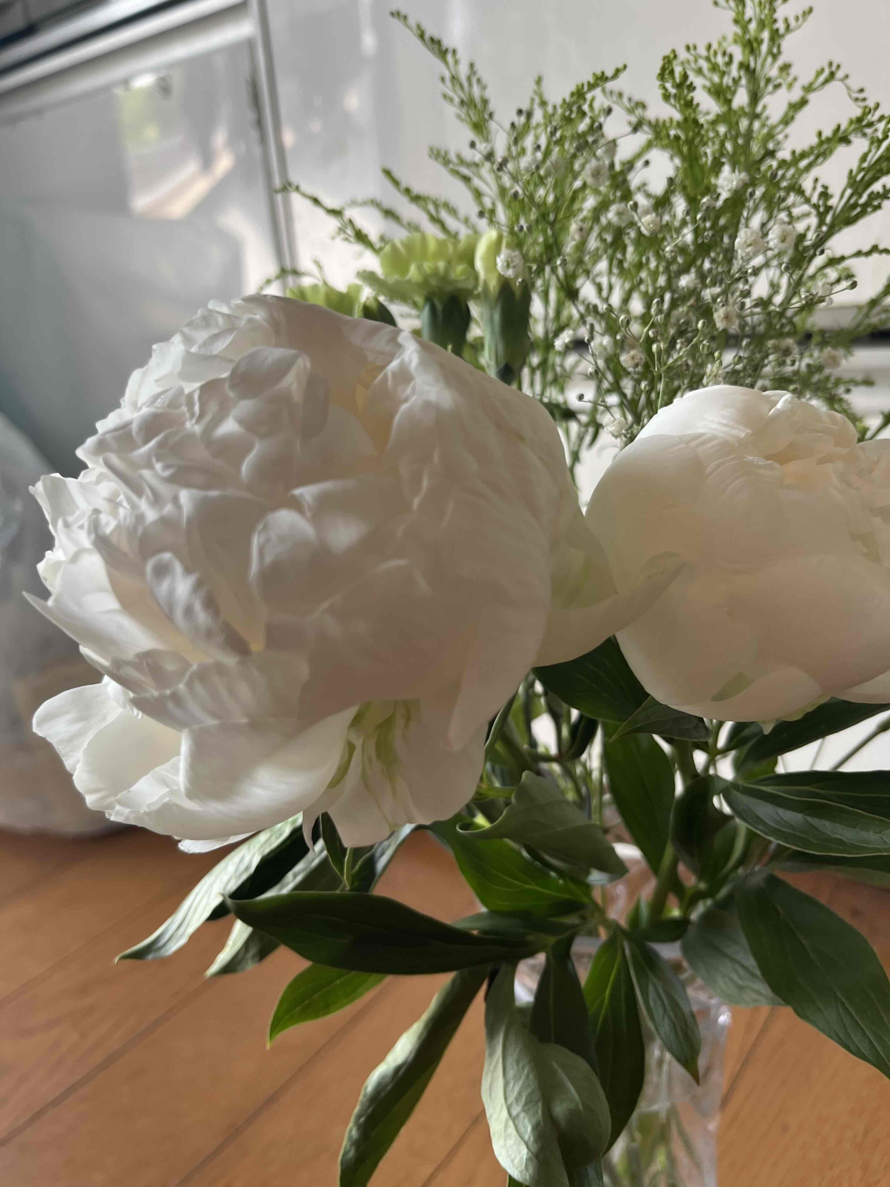 ユニクロフラワーって!? お家に彩りが!手軽に買えるお花