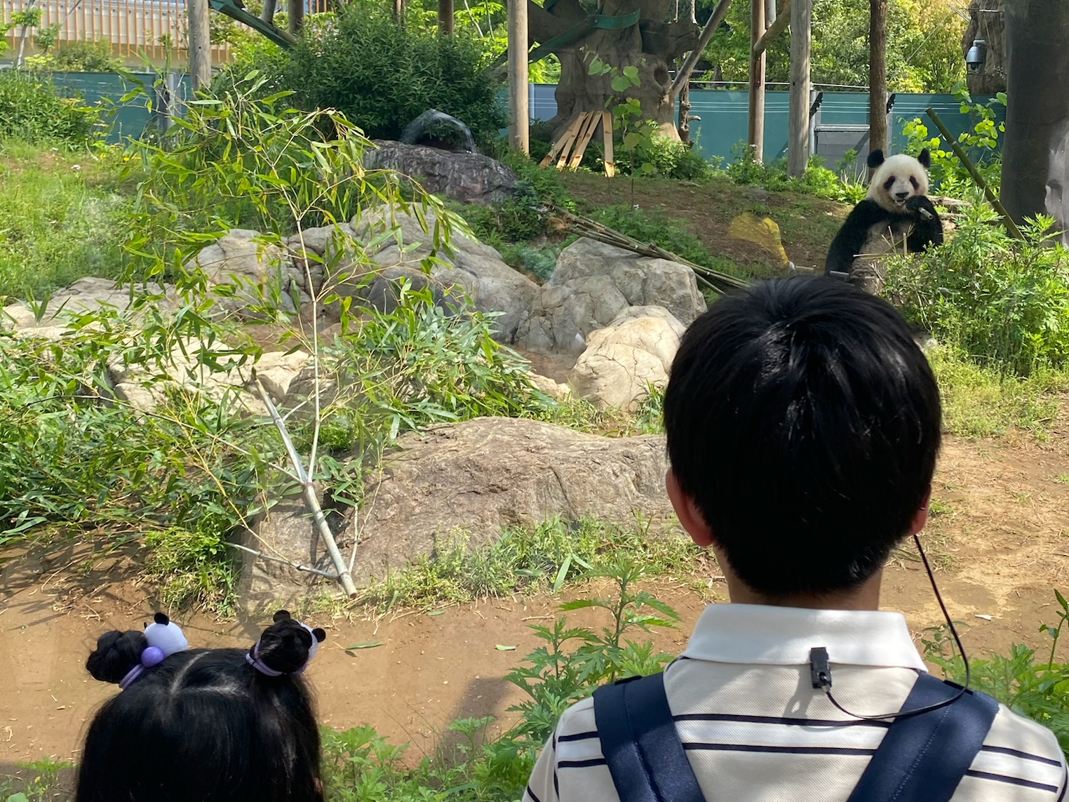 【上野動物園】パンダに会いに行ってきました!園内マップチェックは必須