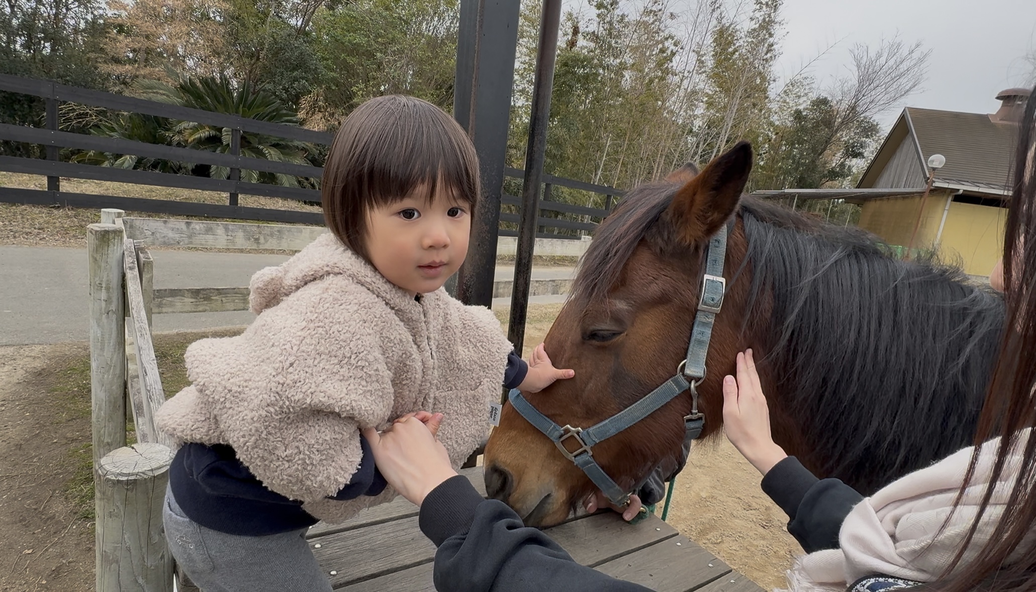 2歳&4歳と楽しむ!淡路島・イングランドの丘で乗馬・ふれあい・絶叫アクティビティ