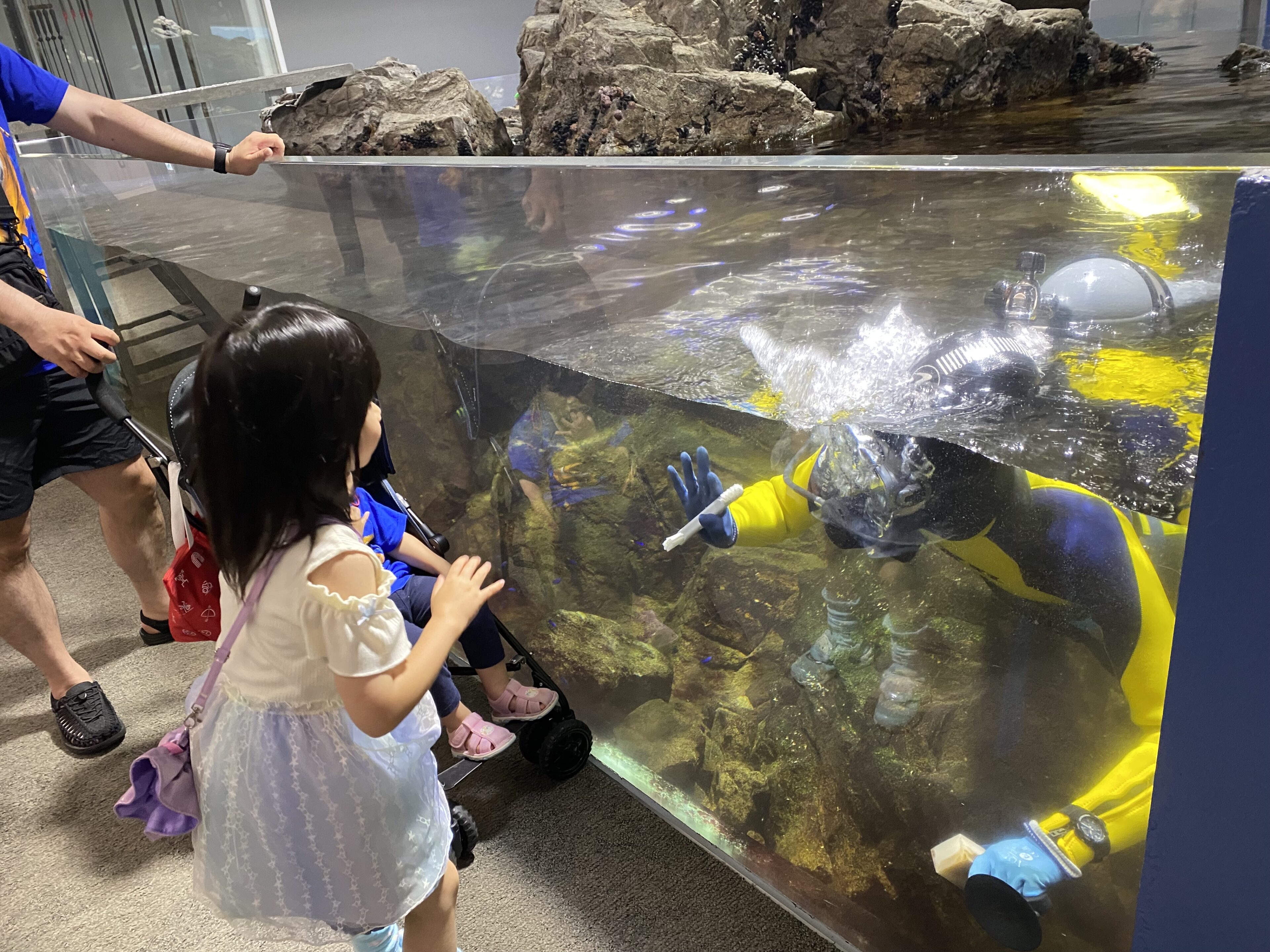 【子連れ水族館レポ・兵庫編】釣って！触って！体験づくしで大満足の城崎マリンワールド