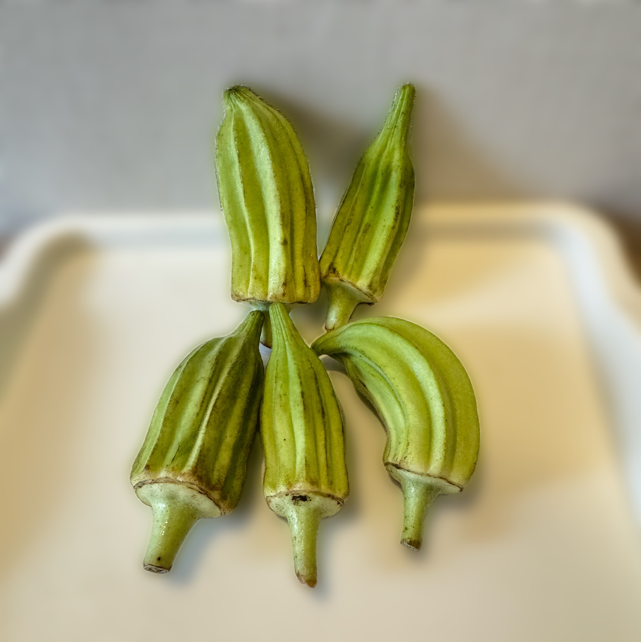 地元野菜の宝庫「伊都彩菜」で【ダビデの星】を発見！その正体とは？
