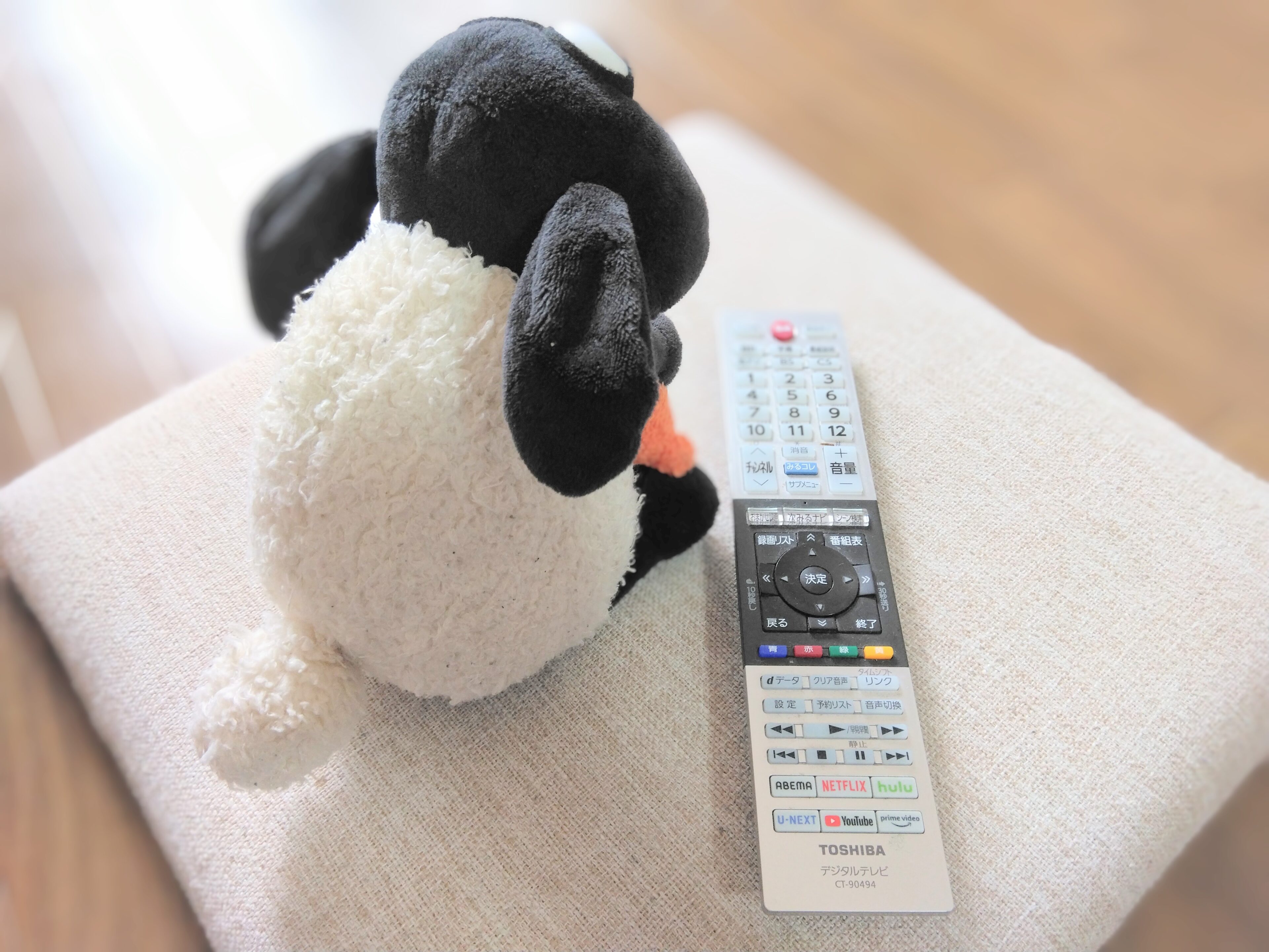 4歳児の感情ゆさぶった長編アニメ、年間20本以上見せた結果と各所要時間