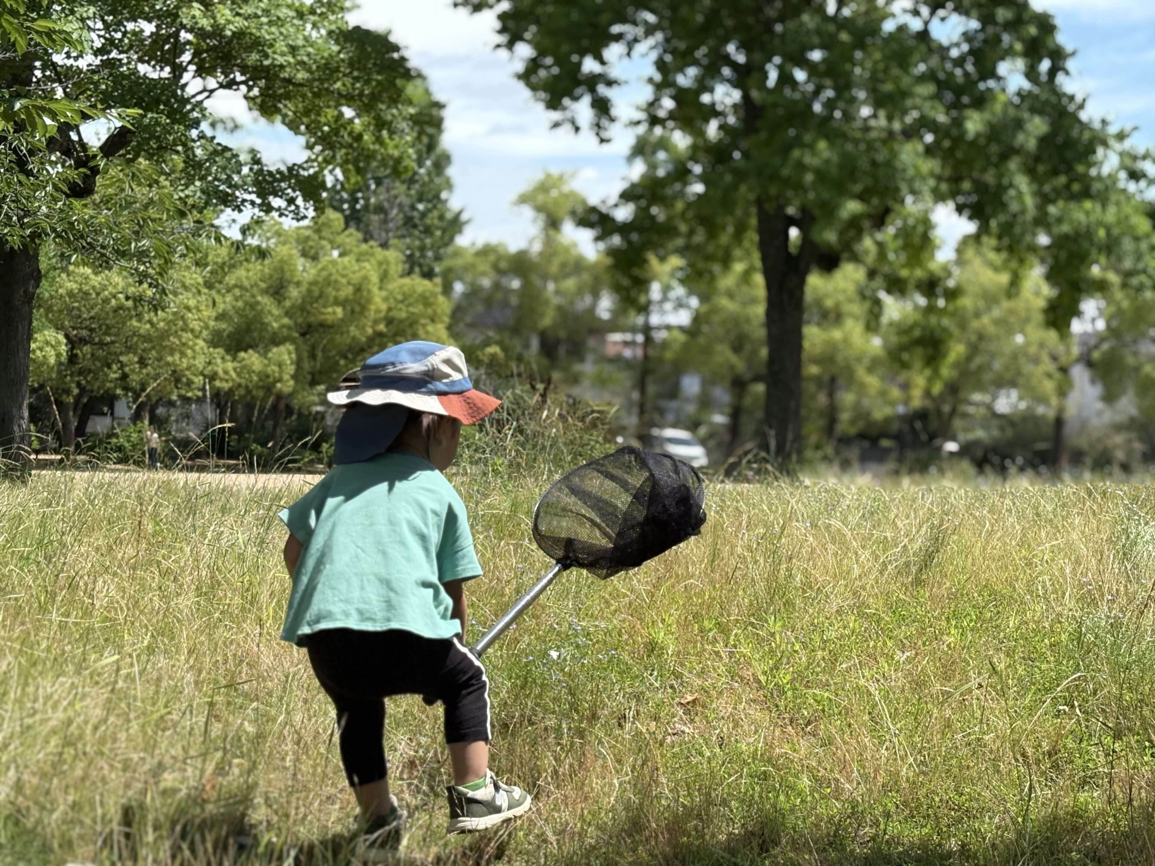 ママ絶叫、息子は虫あみ。「戦った夏」の納戸事件