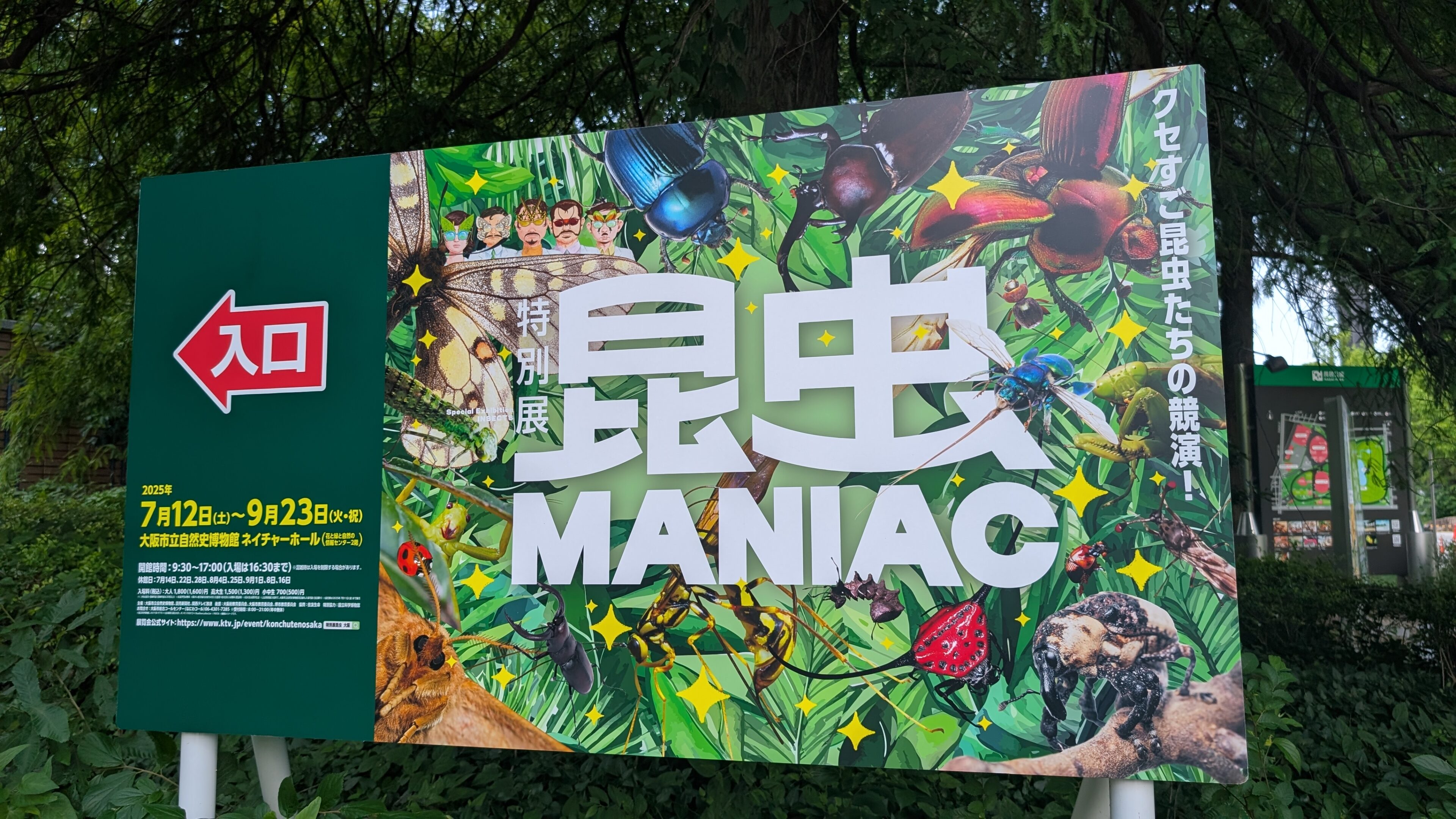 【大阪穴場スポット】「昆虫MANIAC」に4歳・8歳と行ってみた！喜んだのは意外なアレ⁉正直レポ
