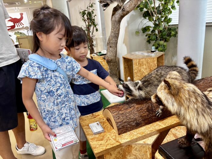 【無料】触れる！学べる！体験できる！日本で唯一の外来生物展示センター