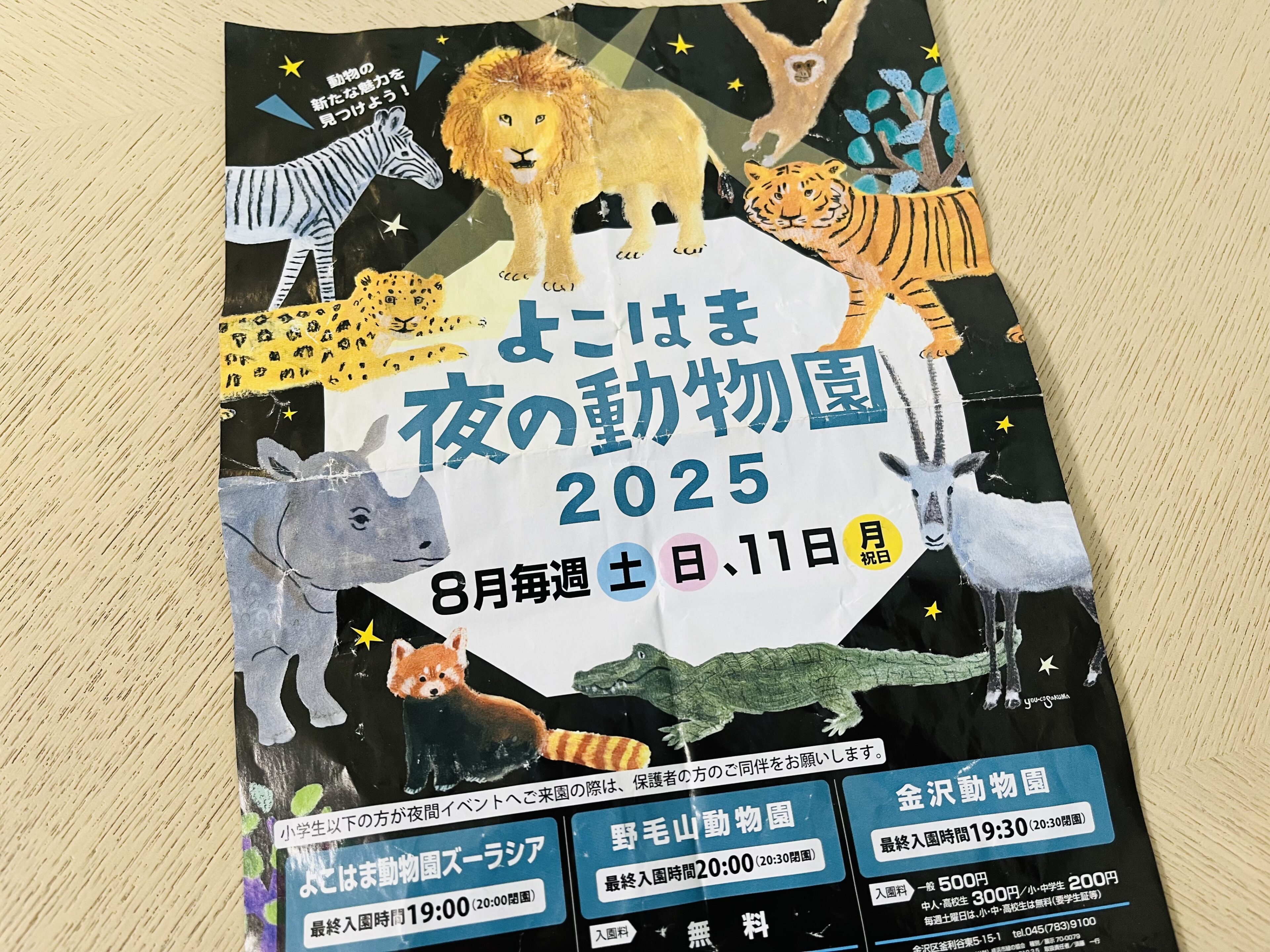 まだ間に合う！8月の土日は横浜の夜の動物園へGO！さらに土曜日は高校生以下は無料
