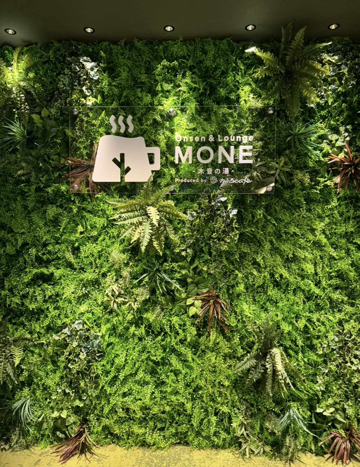 【おふろcafe】群馬県の日帰りラウンジ【MONE】は、温泉も楽しめて室内遊具もあって、家族連れの最強オススメスポット!