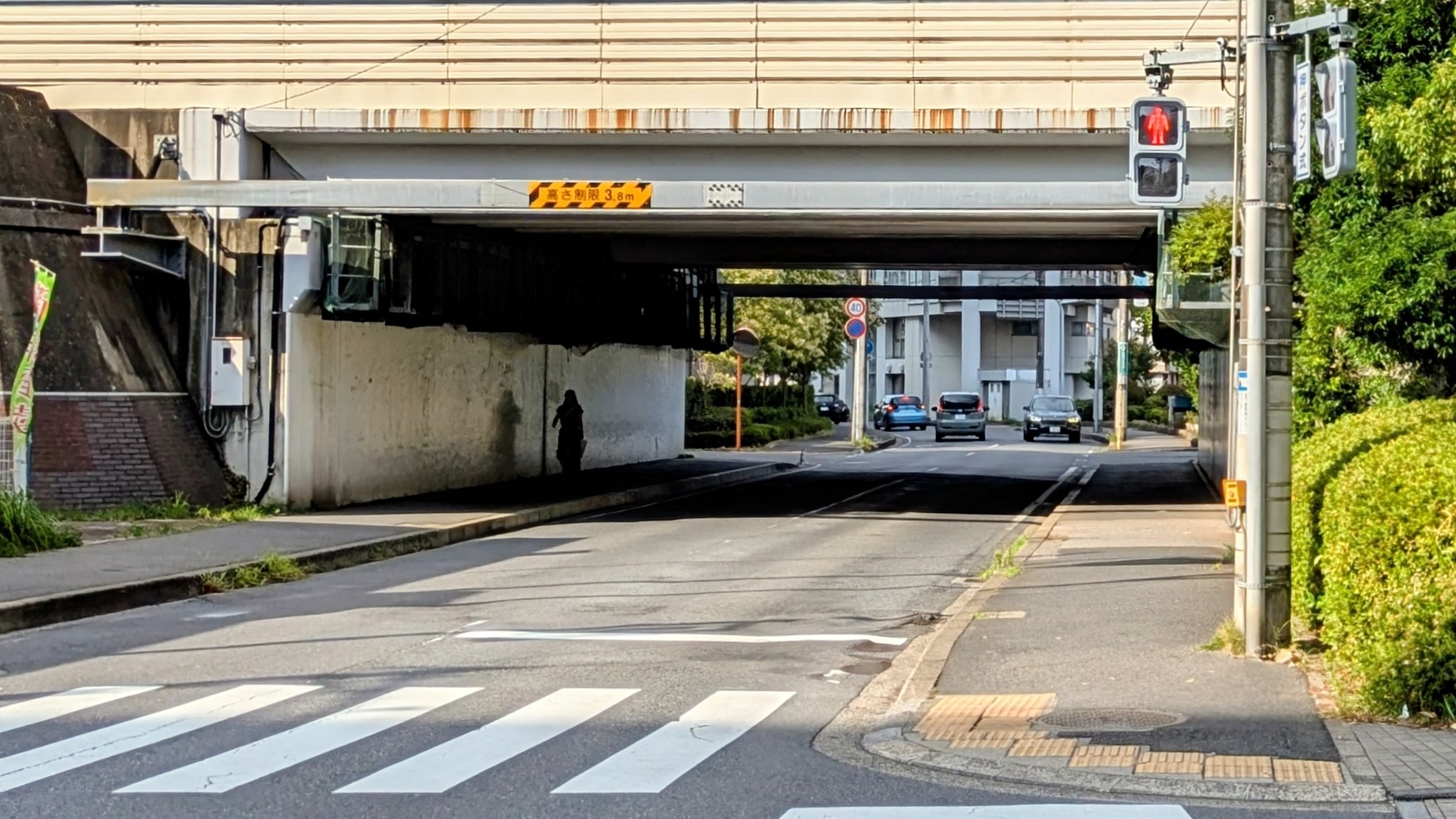 歩行者信号に黄色がないワケは？年長の素朴な疑問をAIで調べてみた