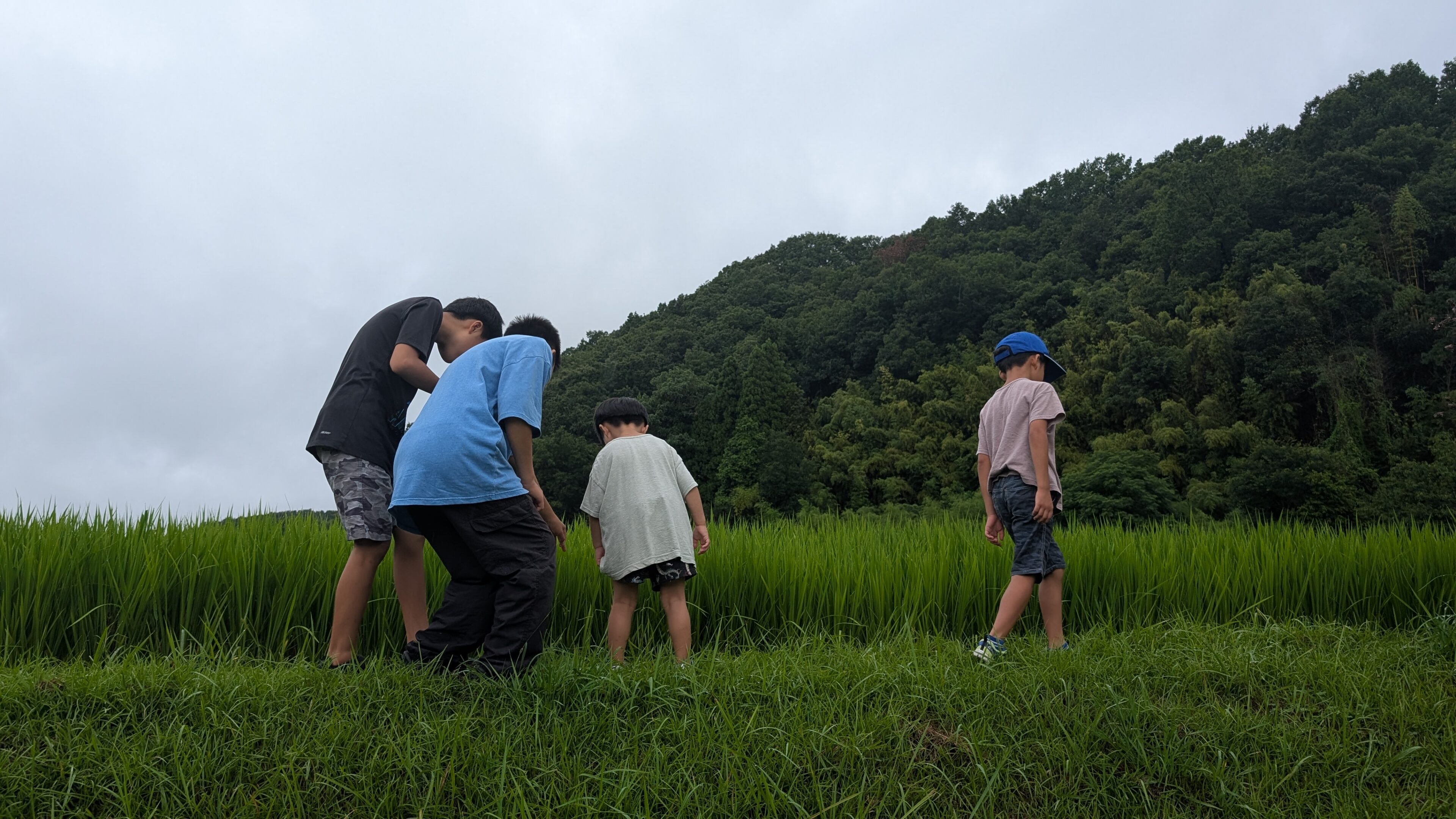 4人育児で判明した「え、そうなる!? 」予想外の出来事とは