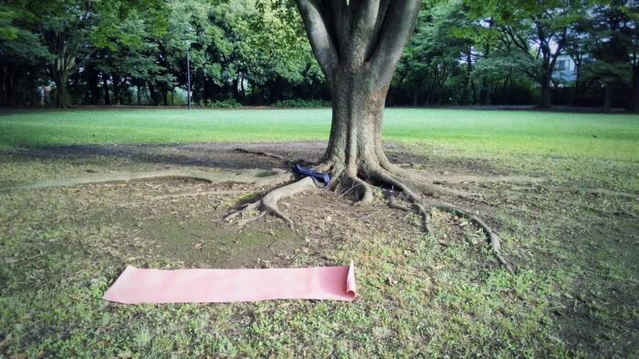 産後ママのリアル！お尻歩きでできる骨盤底筋トレーニング「グースヒップウォーク」