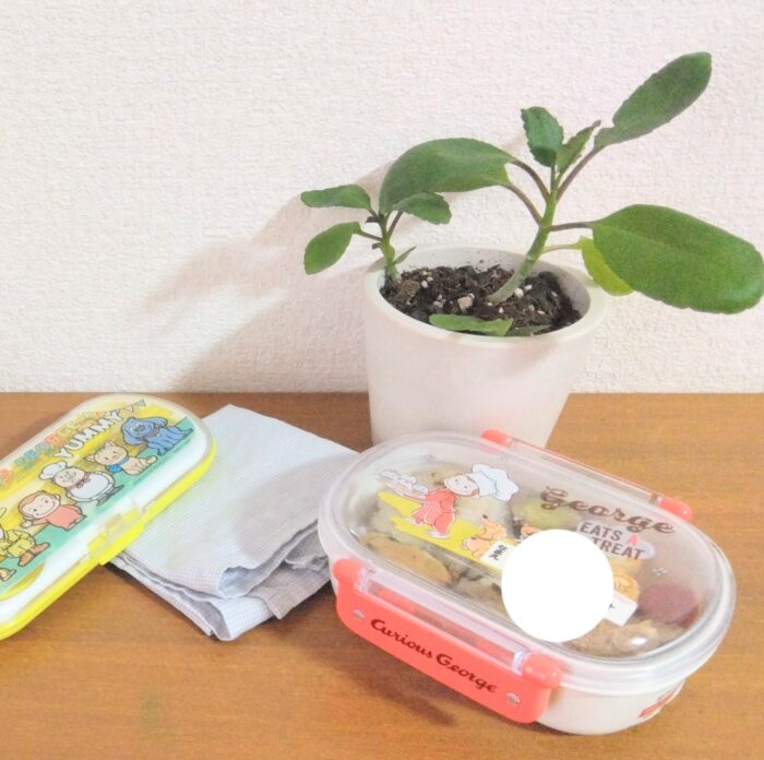 やはり見た目も大事!? お弁当によく入れる具材が「一番最後に食べた、美味しかった」と昇格した話