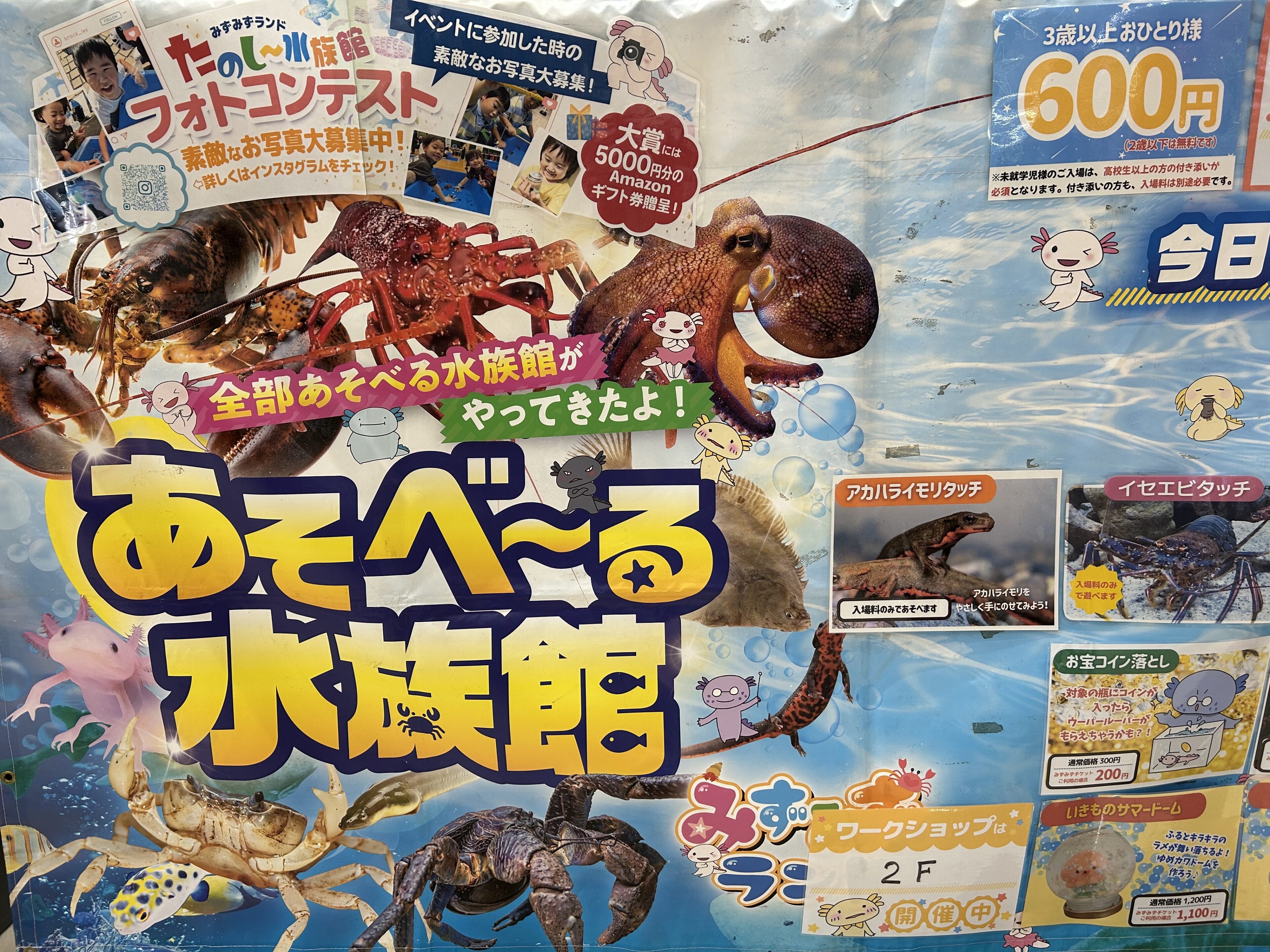 600円で楽しめる！みずみずランドの移動水族館「あそべ～る水族館」って知ってる？　　　