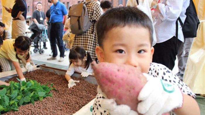 【横浜市】みなとみらいでお芋掘り!?「すくすくファーム 横浜」で親子の新しい農体験