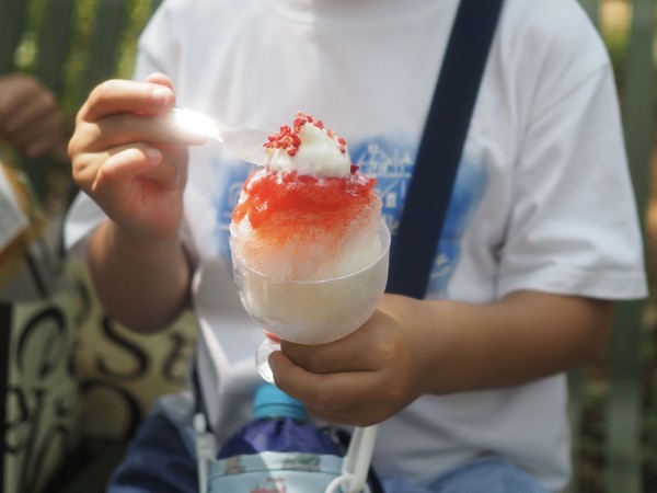 【兵庫県】大人は入店NG!? 子どもだけのお菓子屋さん「未来製作所」へ
