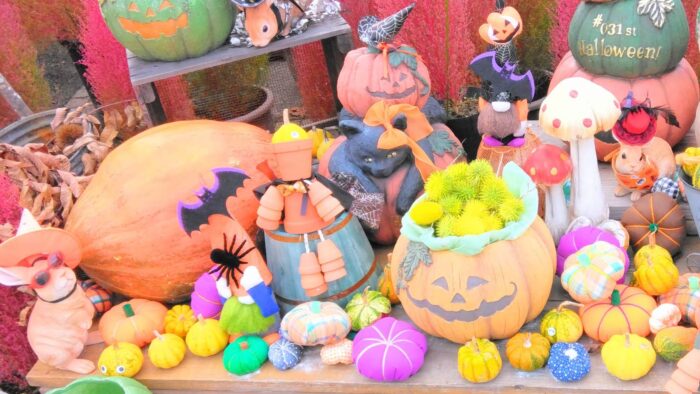 我が家のクモ共存対策！「ハロウィンだから」では済まない今後に備えて