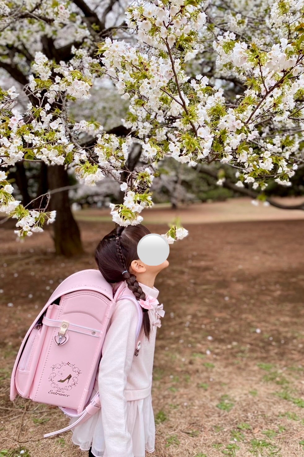 先輩ママ助けて!新1年生あるあるに母困惑
