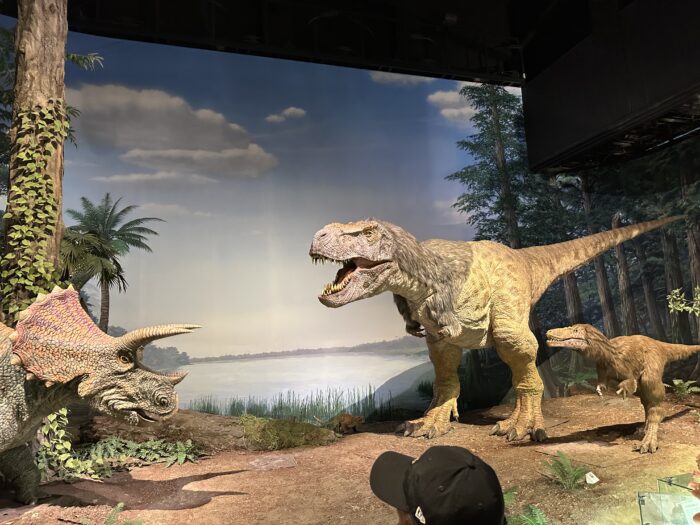 【茨城県】恐竜好き集まれー！ミュージアムパーク自然博物館