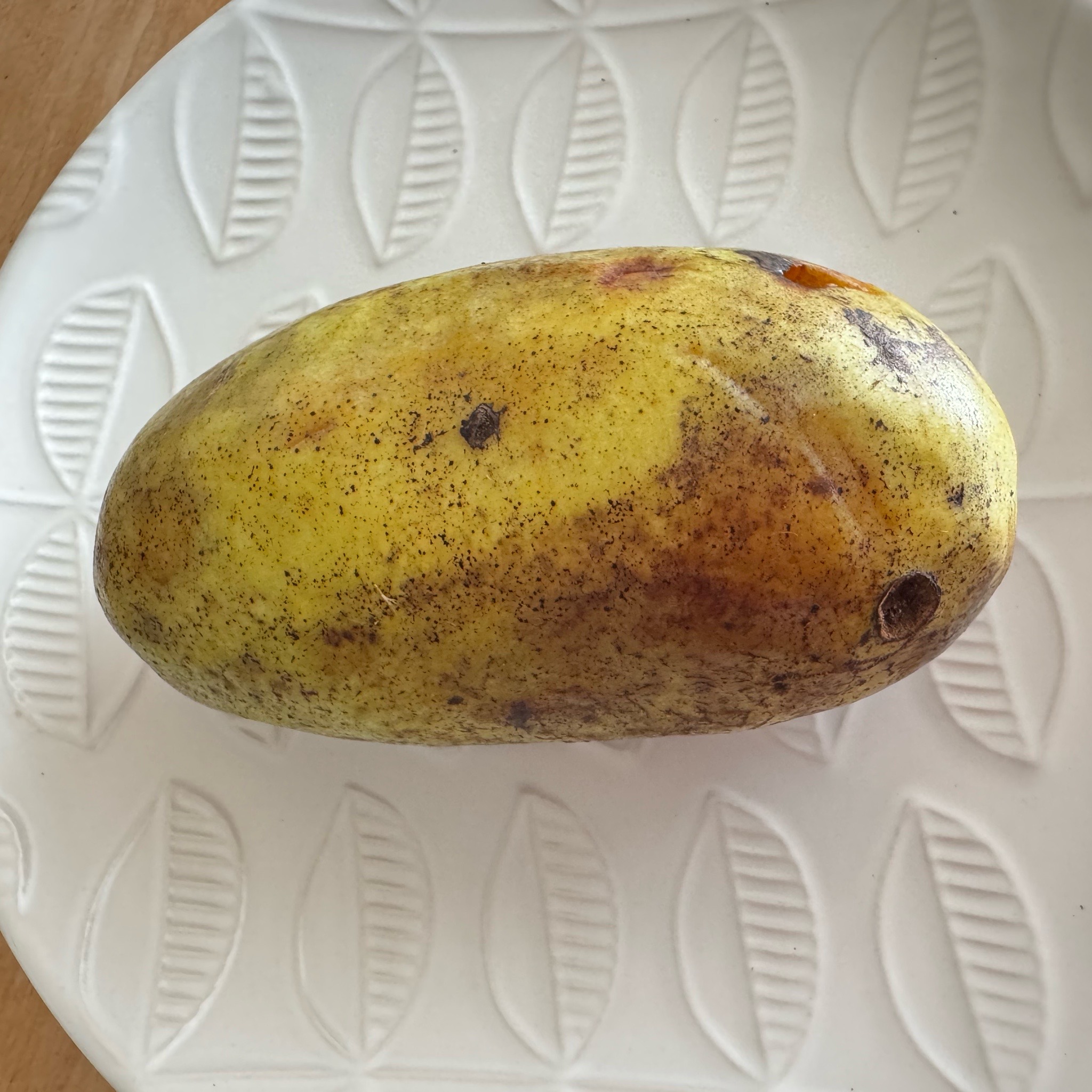 幻のフルーツ「ポポー」実食レポ！わが家の反応はまさかの…？