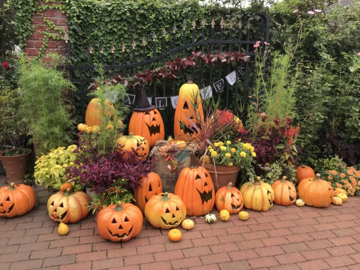 横浜でハロウィンを楽しむ！秋のおでかけスポット紹介