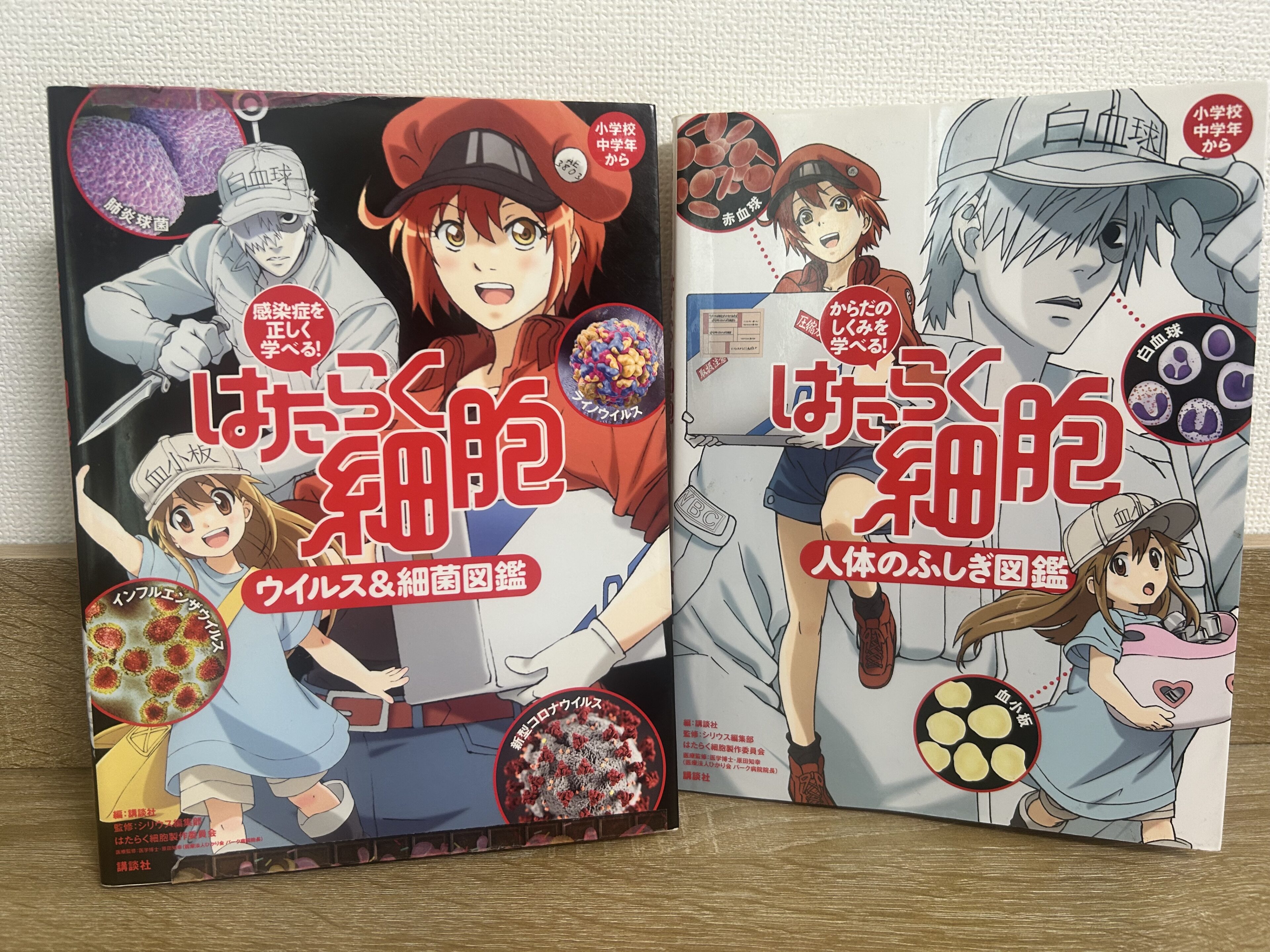 ノーベル賞で話題！難しいニュースも『はたらく細胞』がやさしく教えてくれる