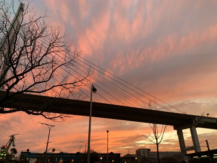 秋の空はピンク色？夕焼けを見た双子のやりとりに思わずクスッとした話