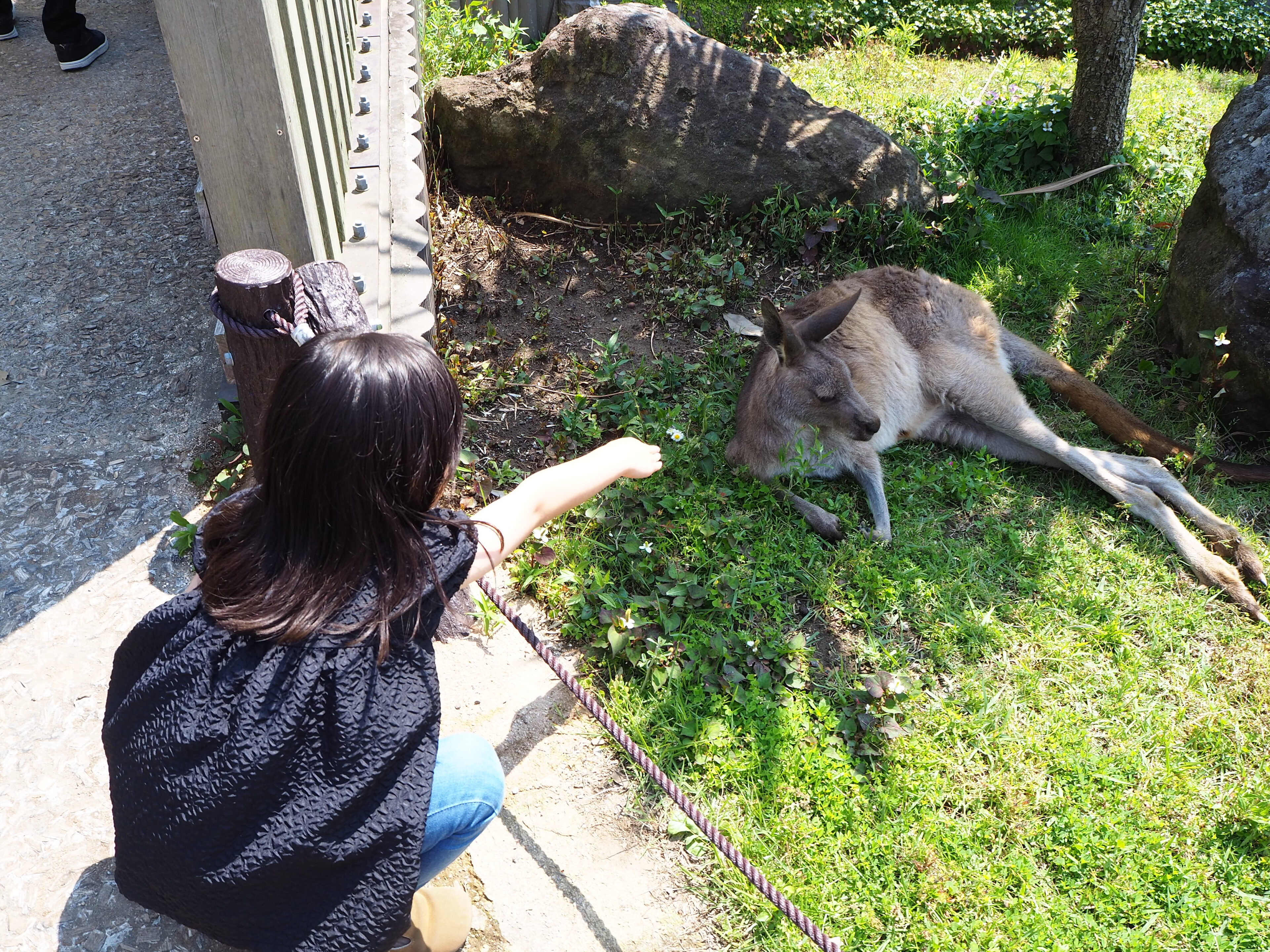 【横浜市】秋のお出かけにおすすめの動物園「金沢動物園」