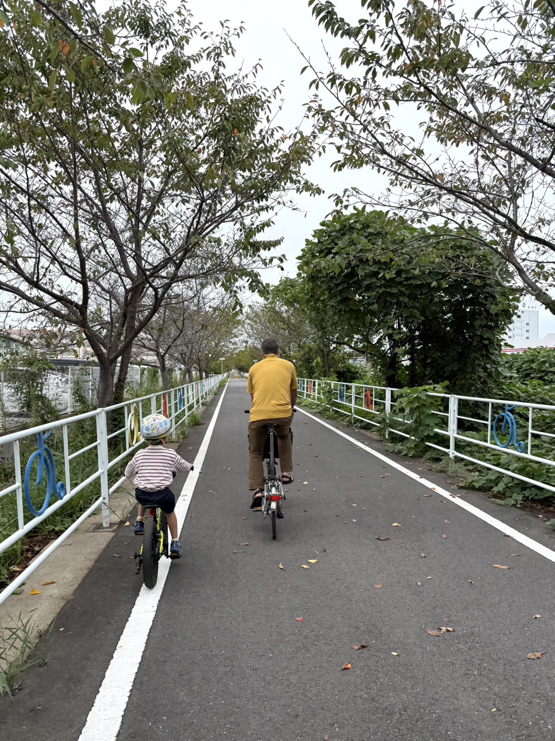 やっと秋だ!サイクリングに繰り出そう【茨城・つくば霞ヶ浦りんりんロード】