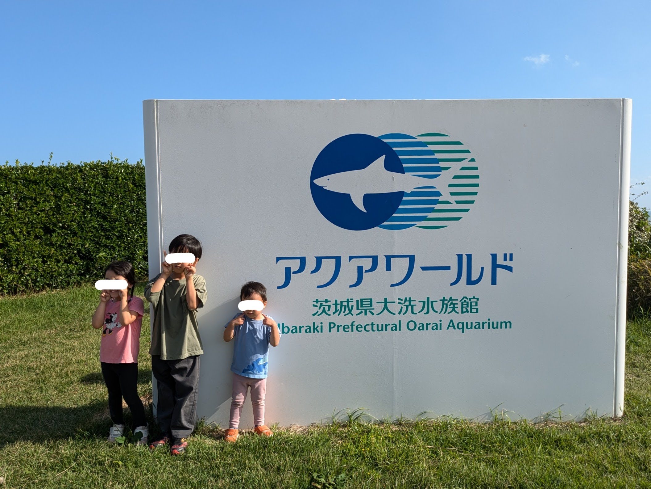 【茨城・子連れお出かけ】土日の那珂湊おさかな市場&アクアワールド大洗水族館「1時前到着ルール」で最高にスムーズ