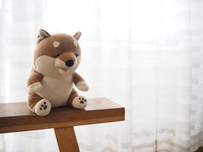 秋のうちに片づけたい2カ所。わが家の“季節替え掃除”
