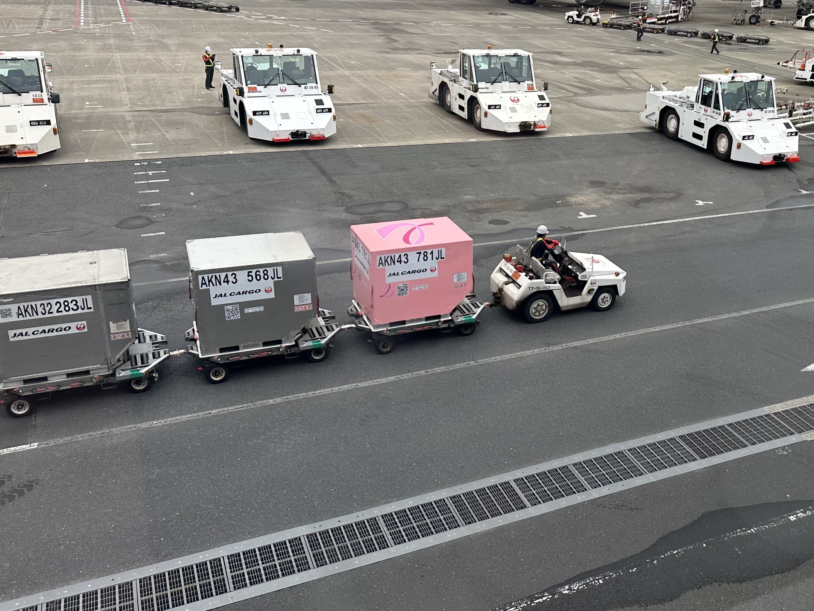 忘れてない?定期検診。ピンクコンテナが思い出させてくれた“あの運動”