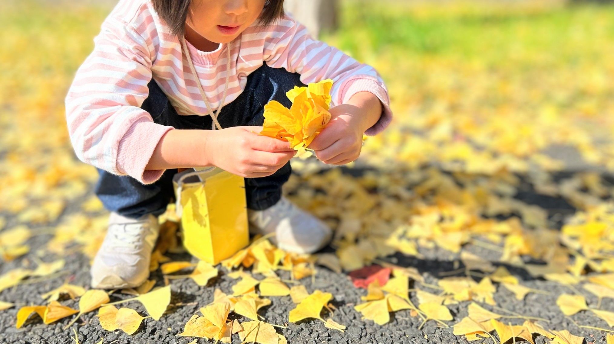 46億年の進化の歴史に…5歳娘拒絶&号泣、対するわたしは原点回帰した話
