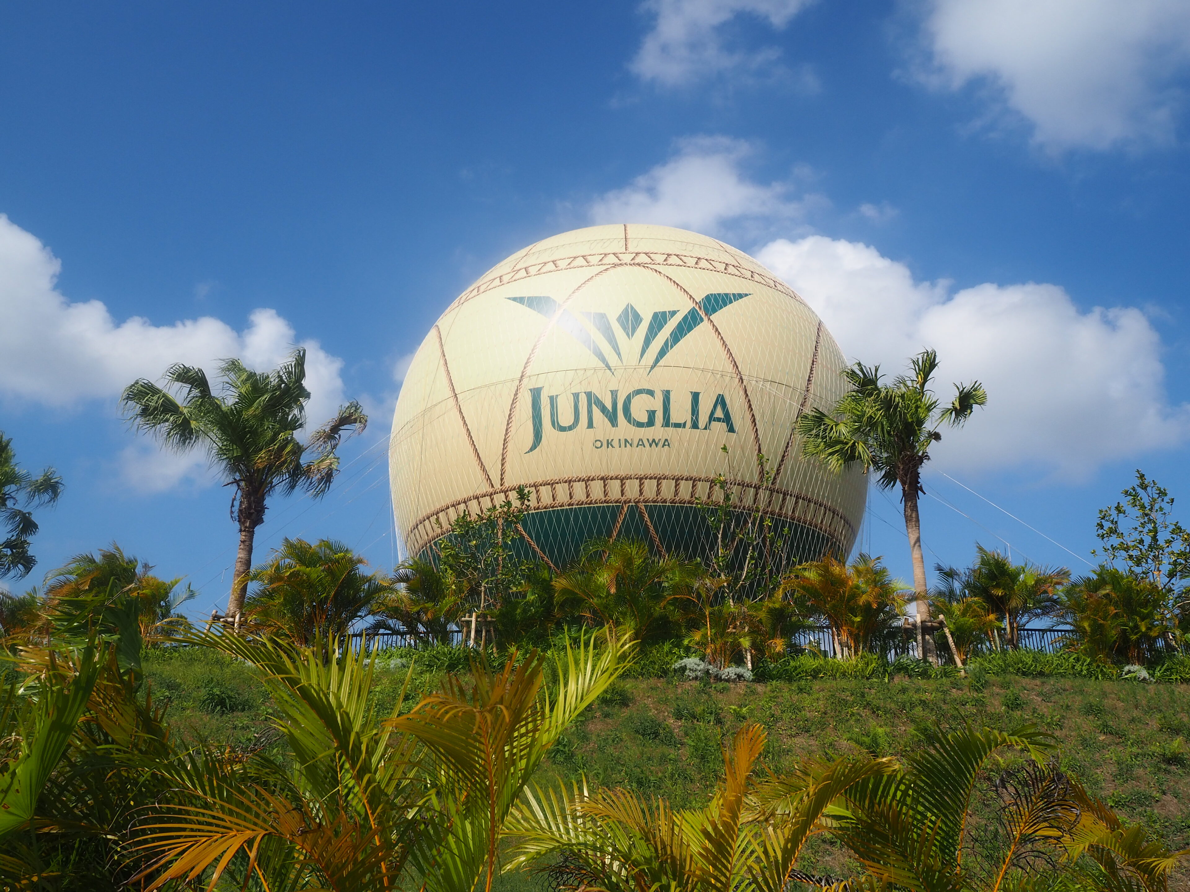 11月の3連休ジャングリア沖縄体験レポ!