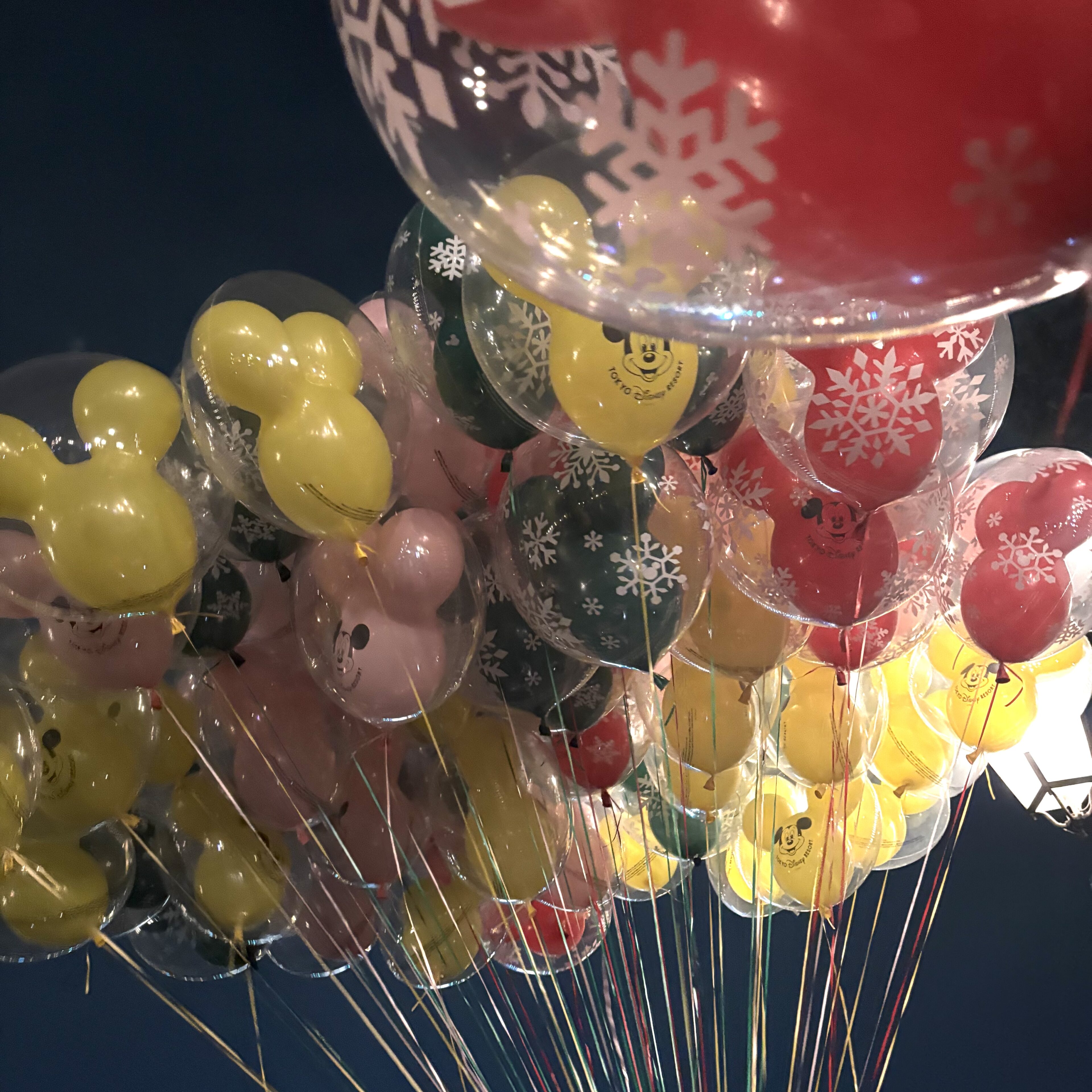 【ディズニーリゾート】〜冬の購入グッズを少しだけご紹介〜