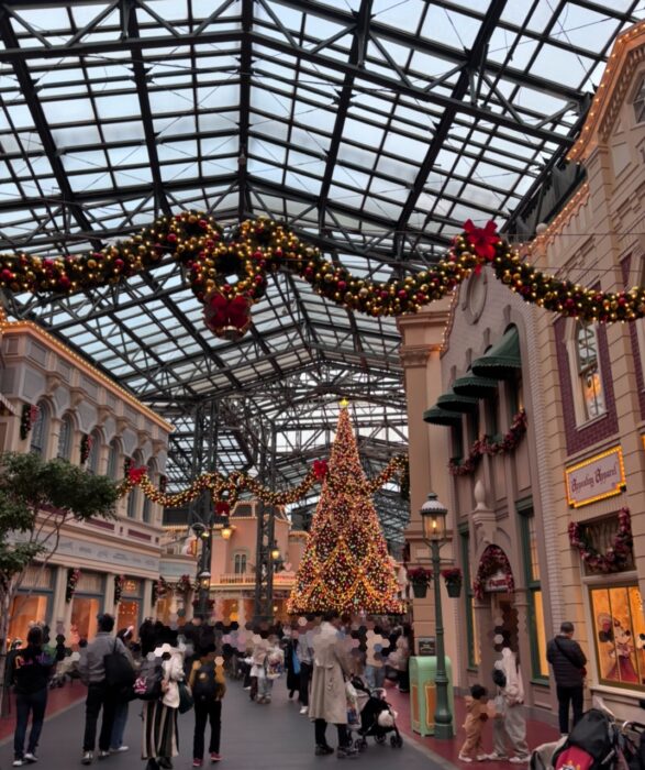 クリスマス一色！あれこれ変わっててウキウキ【ディズニー】クリスマス2025  あのグッズも変わってる！