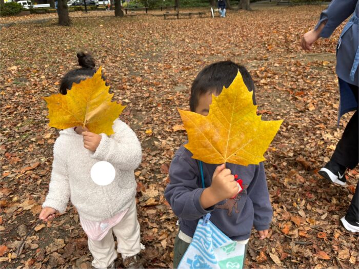 モンテッソーリ教育に通じる“色を味わう体験”を落ち葉で広がる感性の世界