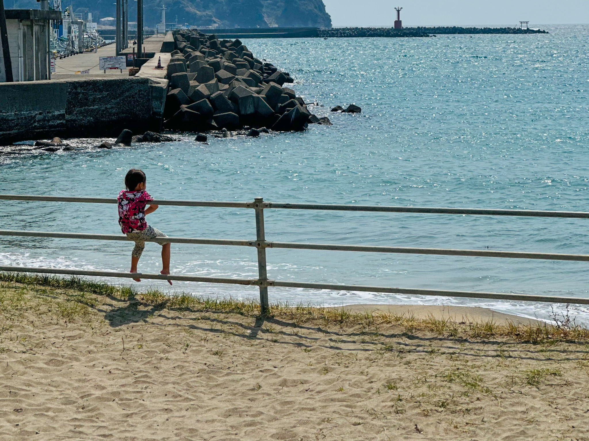 人気の楽器をゆずった娘。理由を聞いたら想像の3倍たくましかった