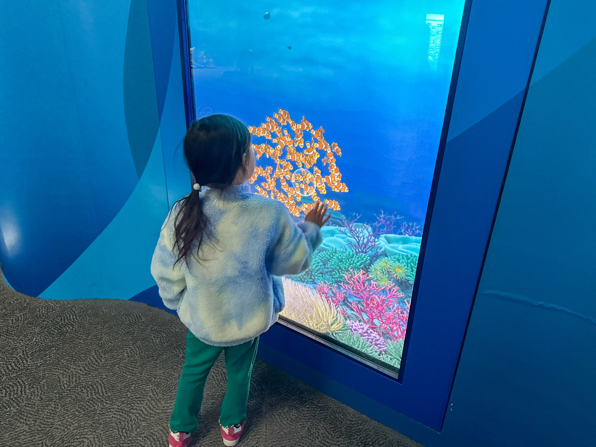 千葉県民必読！知らないと損する「チーパス」ちゃんと使ってる？