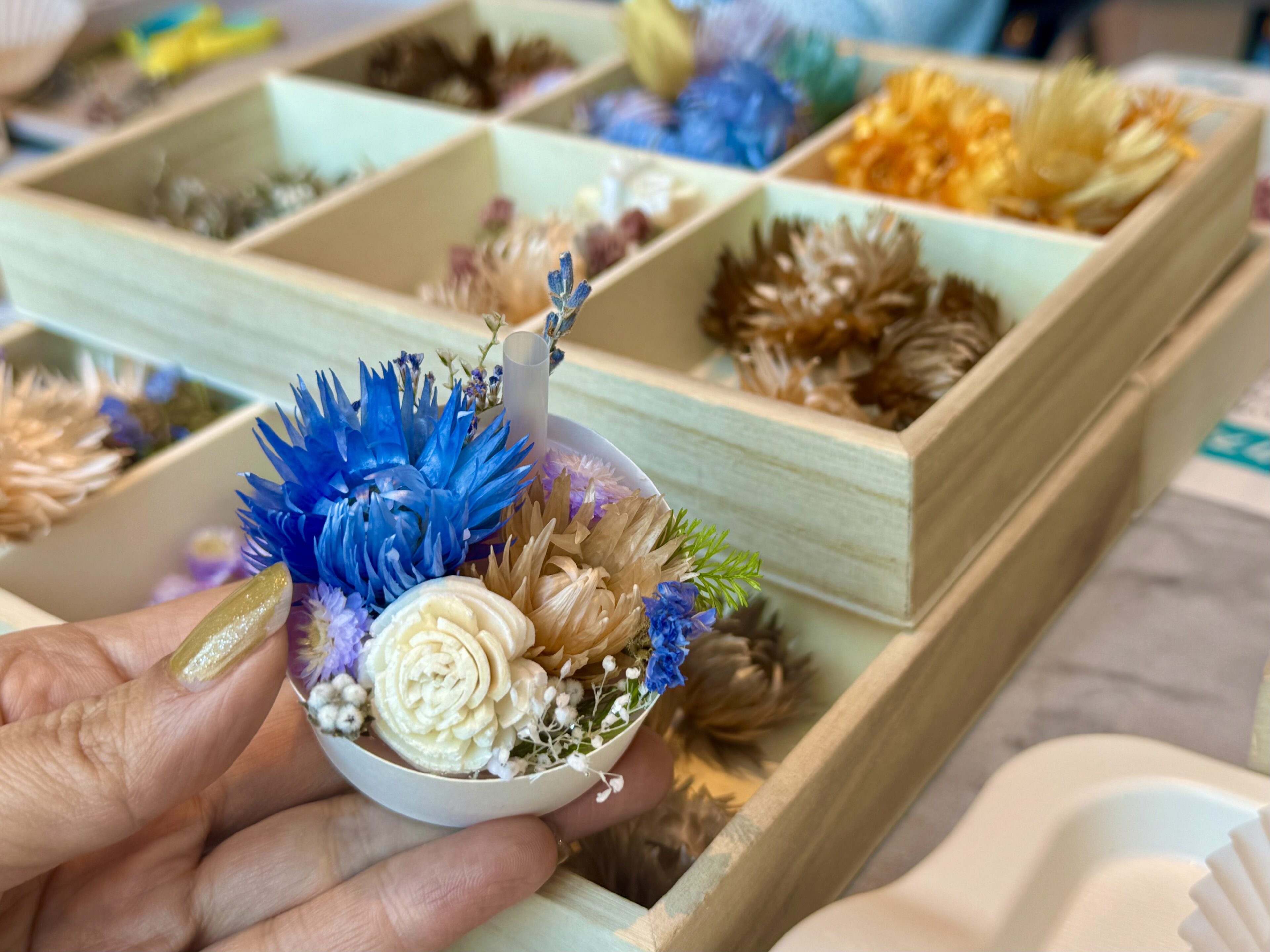 「Meetup&あんふぁん 2025Autumn」に参加!正直レビュー