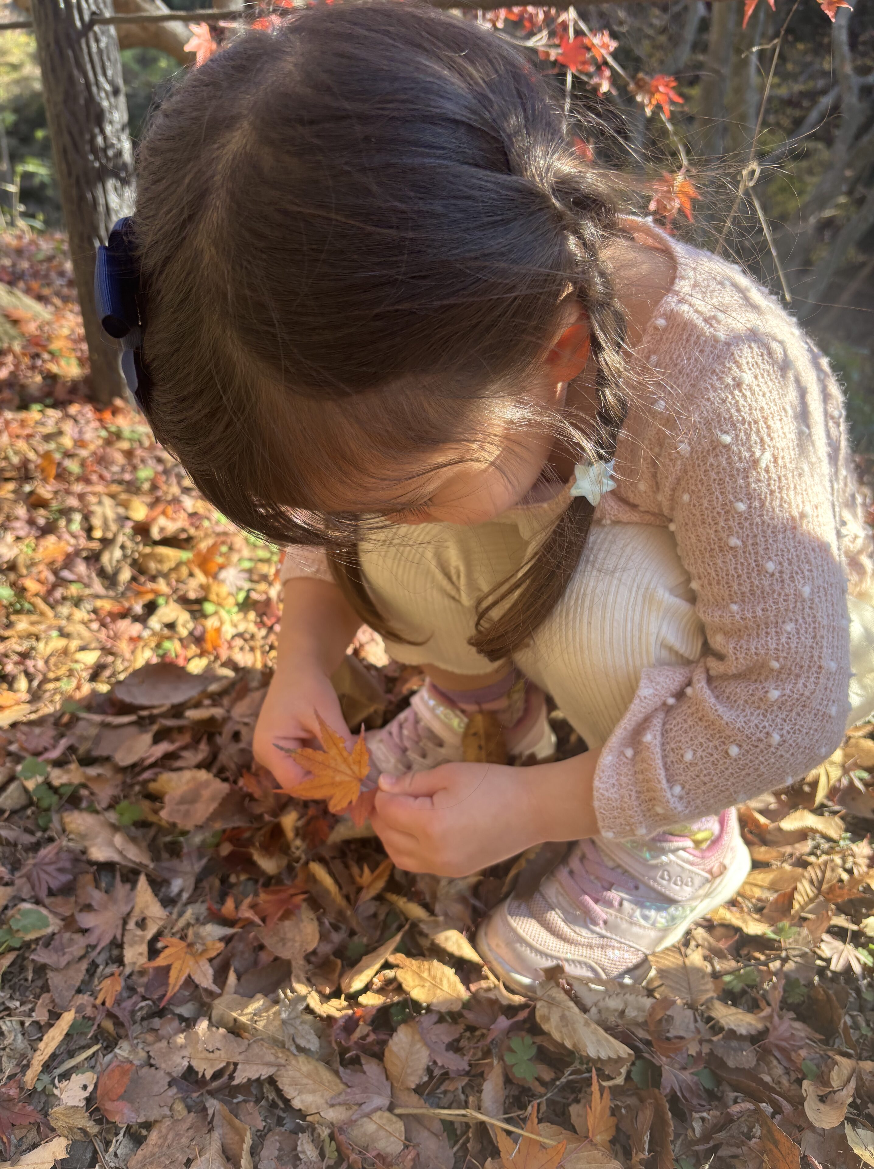 親子で楽しむ秋のお出かけ：嵐山渓谷の紅葉まつり
