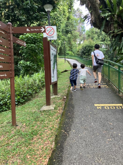 森の上を歩こう！シンガポール「ヘンダーソン・ウェーブ・ブリッジ」で絶景さんぽ。その先には…