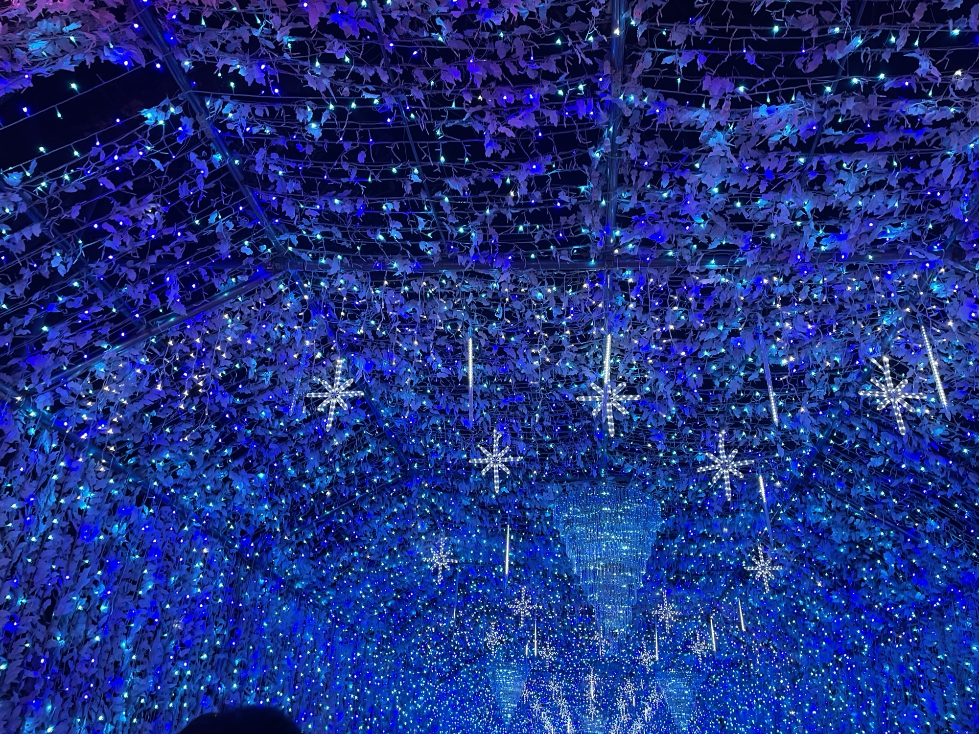 日本最大級の噴水ショーに感動!家族で楽しむ時之栖イルミネーション体験記