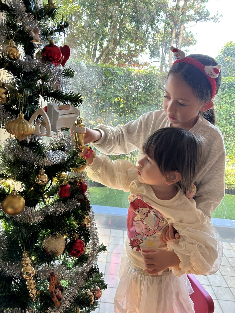 我が家のクリスマスの伝統「家族の思い出オーナメント」