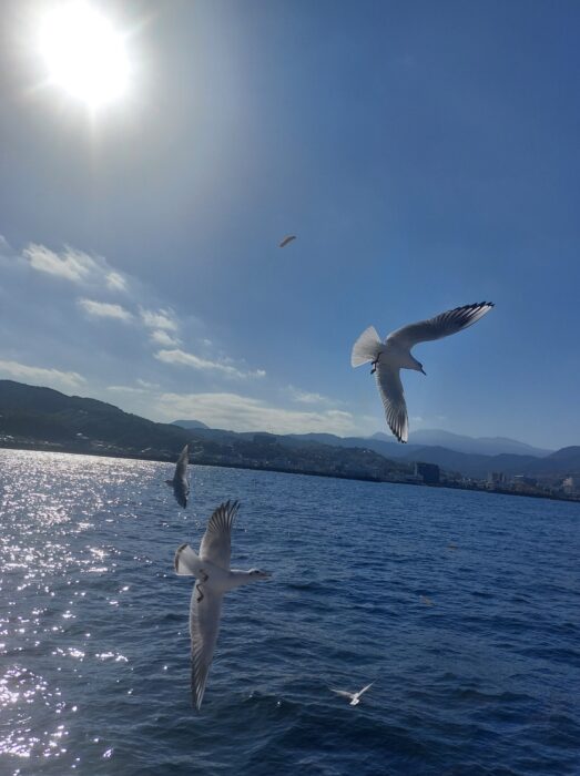 【推し活】にはまった1年で私が気づいたこと